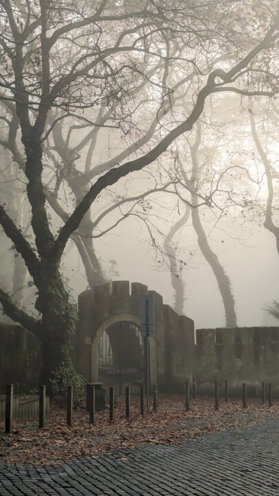 Fotografie getiteld "Sintra sous la brume" door Johnny Rinkel, Origineel Kunstwerk, Digitale fotografie