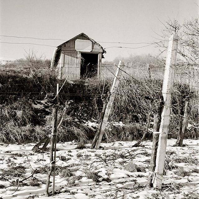 Photography titled "Vineyard Shed IX" by Christian Sodomka, Original Artwork