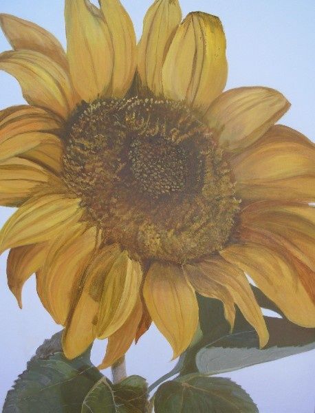 Painting titled "Girasol" by Silvia Vazquez, Original Artwork, Oil