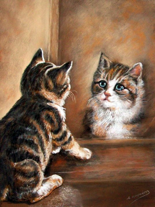 234 Chat Au Miroir Au Pastel Sec Painting By Simone Mugnier Artmajeur