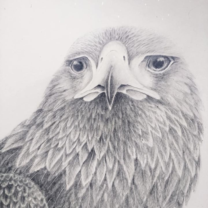 Dibujo titulada "Eagle 4" por Rayne Van Sing, Obra de arte original