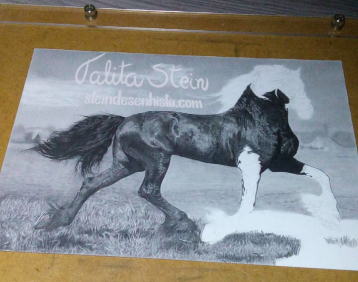 Cavalo linha arte desenho garanhão pintura, cavalo, Pintura em aquarela,  branco png