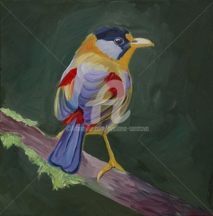 Painting titled "Colored bird on a d…" by Svetlana Saratova, Original Artwork, Acrylic