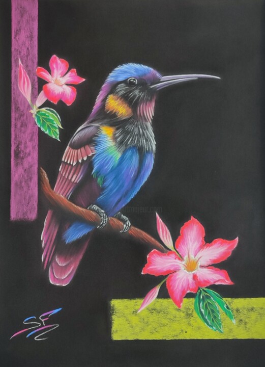 제목이 "Hummingbird"인 그림 Sylvie F. Pastel Art로, 원작, 파스텔