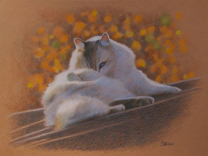 Drawing titled "Babou sur le toit" by Sylvie Talon, Original Artwork, Pencil