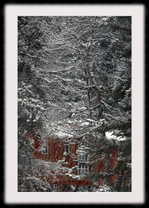 Photography titled "Forest Dwelling" by Sarna, Original Artwork, Digital Photography Mounted on Cardboard