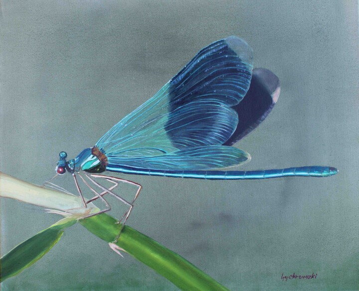 绘画 标题为“Beautiful demoiselle” 由Tamás Gyebrovszki, 原创艺术品, 油