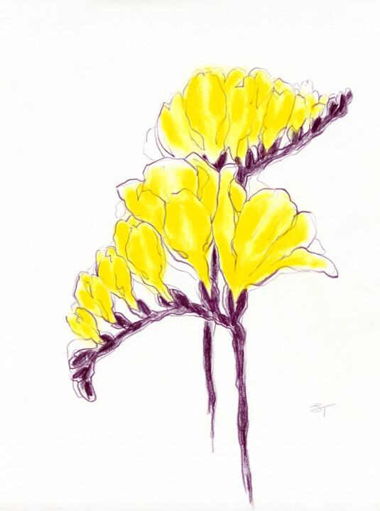 Dibujo titulada "Yellow Freesia 02" por Tanya Sviatlichnaya, Obra de arte original, Pastel