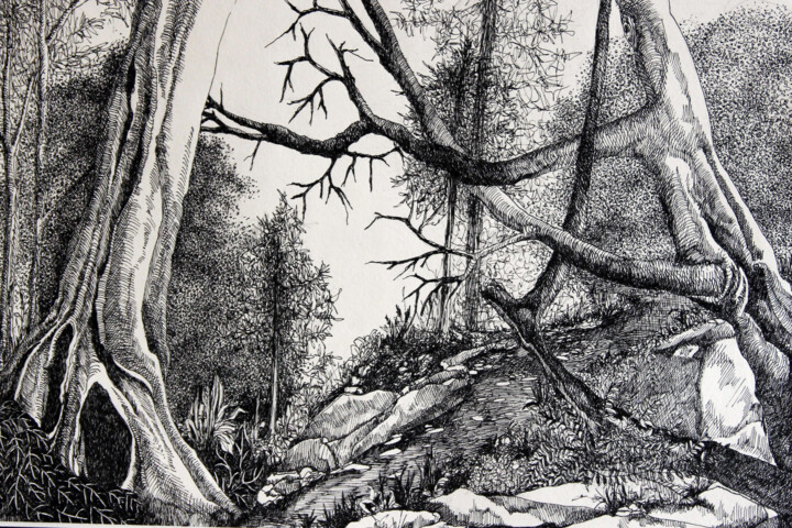 Desenho intitulada "Wald" por Tatjana M. Pankau, Obras de arte originais, Tinta