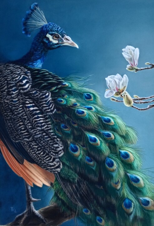 제목이 "Peacock and magnolia"인 미술작품 Tatyana Lukanenko로, 원작, 파스텔