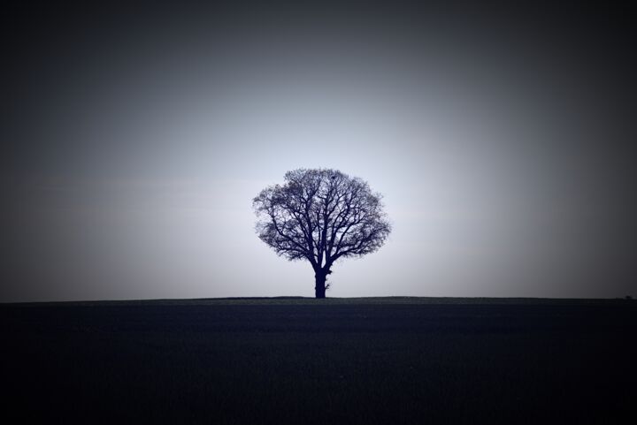 Fotografie getiteld "arbre sur fond d'éc…" door Tc.Photographie, Origineel Kunstwerk, Digitale fotografie