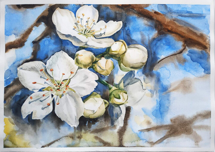 Картина под названием "Blossom" - Tetiana Zelinska, Подлинное произведение искусства, Акварель