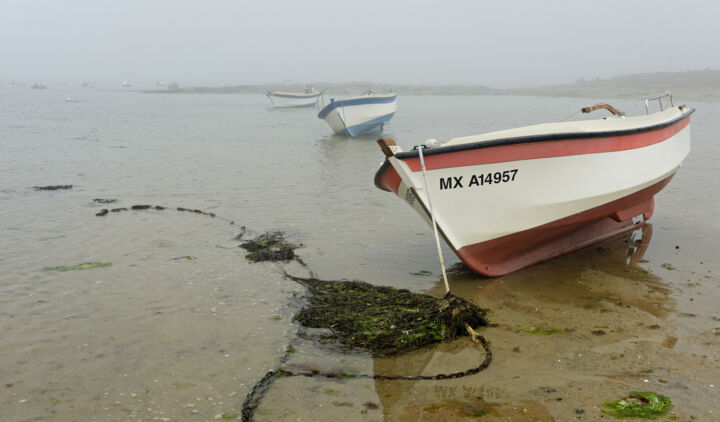 Fotografia intitulada "Carantec, l'estran,…" por Thierry Martin, Obras de arte originais, Fotografia digital