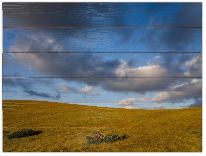 Fotografía titulada "Windows" por Alexandru Neagu, Obra de arte original, Fotografía digital