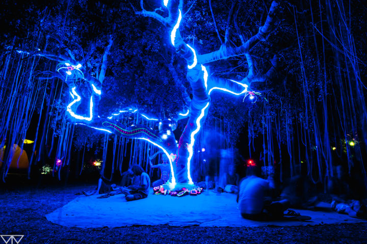 Photographie intitulée "Tree LightYear" par Tomás Vieira, Œuvre d'art originale, Photographie numérique