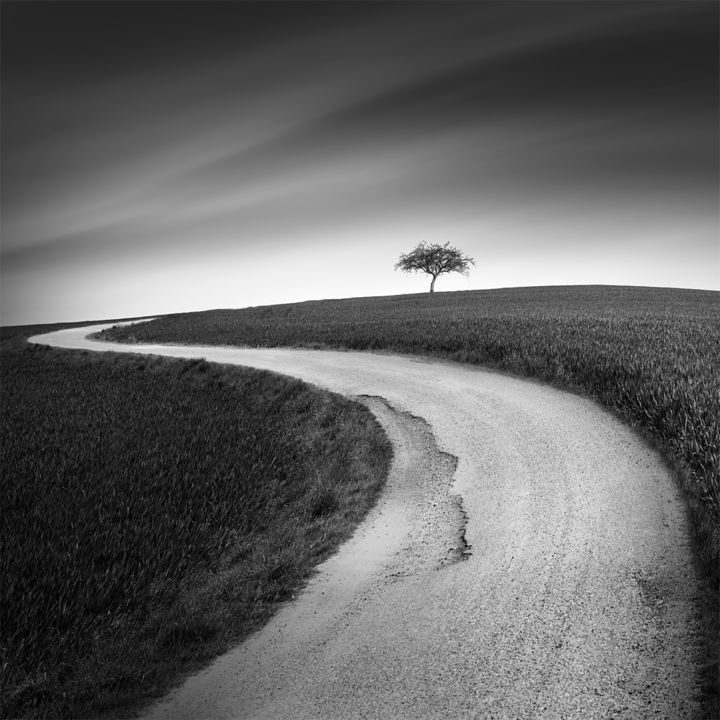 摄影 标题为“Winding Road” 由Tomáš Tisoň, 原创艺术品, 数码摄影