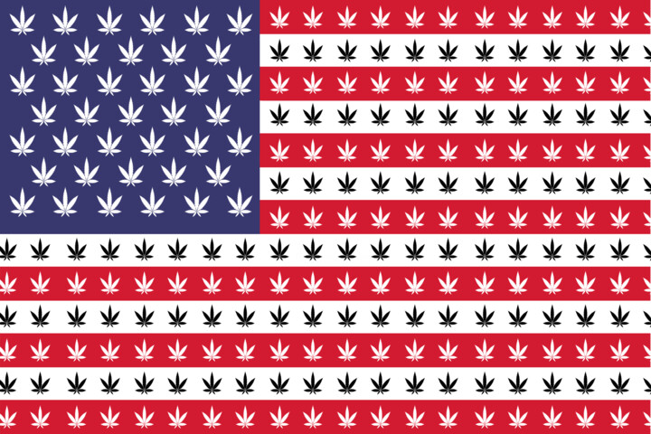 american flag with marijuana on it