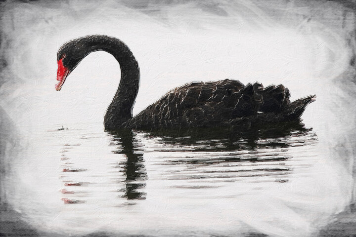 Schilderij getiteld "Black Swan Duck Goo…" door Tony Rubino, Origineel Kunstwerk, Acryl Gemonteerd op Frame voor houten bran…