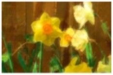 Arte digital titulada "yellow flowers" por Tracey Waters, Obra de arte original