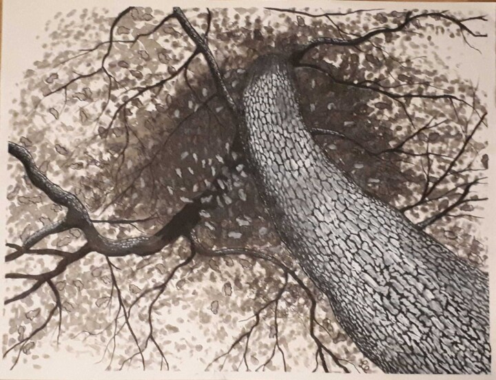 Desenho intitulada "Le Chêne" por Tristan Ligen, Obras de arte originais, Tinta