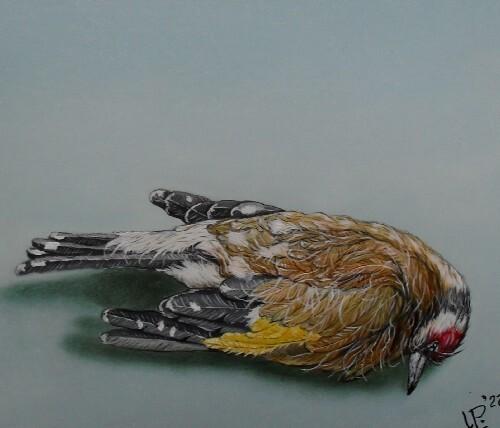 Pintura intitulada "Little bird lying" por Uko Post, Obras de arte originais, Óleo