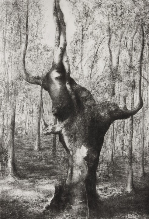 Drawing titled "Majestic" by Przemek Kret, Original Artwork, Charcoal