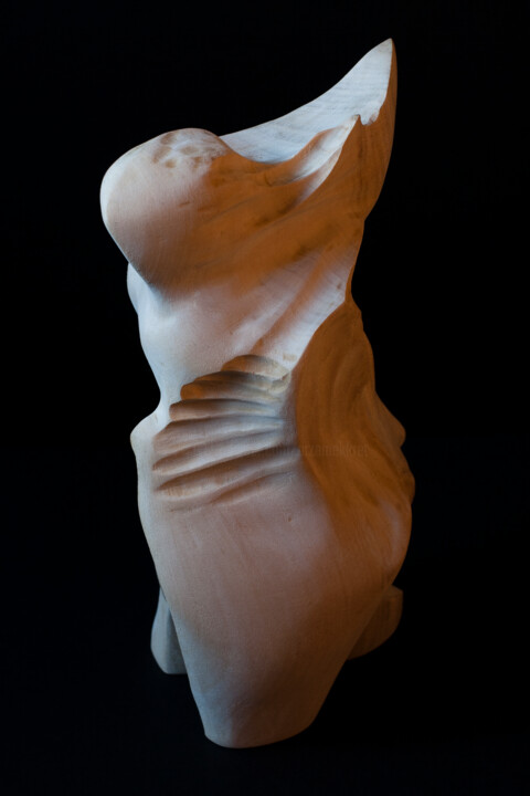 Sculpture titled "Northern Wind" by Przemek Kret, Original Artwork, Wood