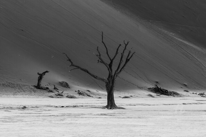 摄影 标题为“Namib Desert-0583-SW” 由Uwe Bauch, 原创艺术品, 数码摄影
