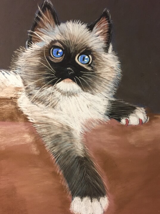 Drawing titled "Chat" by Valerie Lefebvre, Original Artwork, Pastel