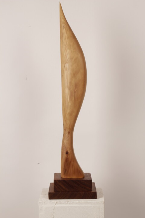 Sculpture titled "Bird in space 2( af…" by Valeriu Cazacevschi, Original Artwork, Wood
