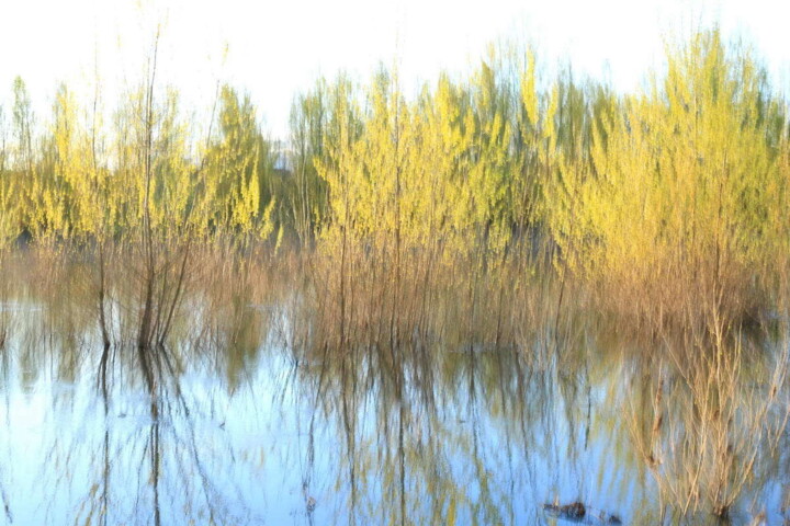 Photography titled "Rives de Loire 2" by Valery Trillaud, Original Artwork, Non Manipulated Photography