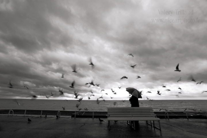 Les Mouettes Nicejpg Photography By Valery Trillaud Artmajeur