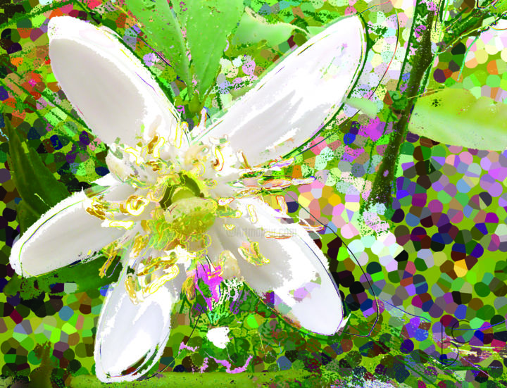 Digital Arts titled "Fleur de citronnier" by Corinne Battaglia (Vector&Graphie), Original Artwork, Digital Painting