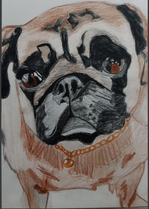 Drawing titled "Dog portraits" by Subhalakshmi Sureshkumar, Original Artwork, Pencil