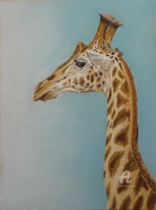 Рисунок под названием "Giraffe" - Victoria Richters, Подлинное произведение искусства, Пастель