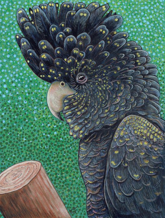 Pintura intitulada "Black Cockatoo" por Vikki Jackson, Obras de arte originais, Acrílico