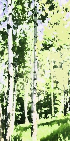 Painting titled "Birch's wood" by Viktor Kovbunov, Original Artwork