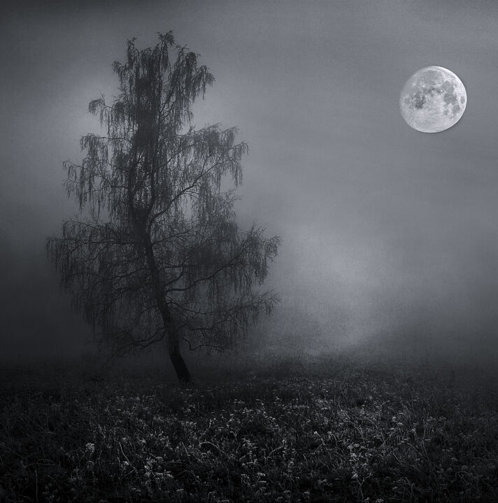 Fotografia intitulada "l'arbre sous la lune" por Vincent Frediani, Obras de arte originais, Fotografia digital