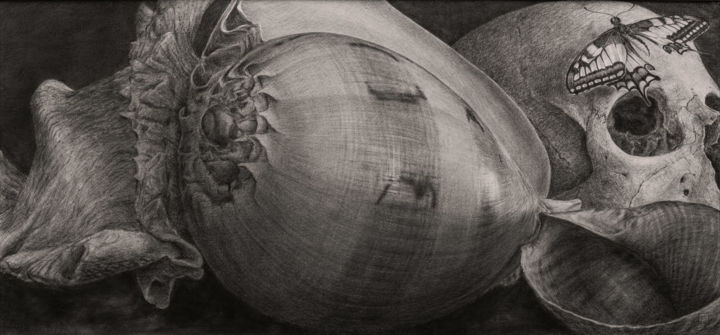 Disegno intitolato "vanité au machaon" da Vincent Haller, Opera d'arte originale, Carbone Montato su Pannello di legno
