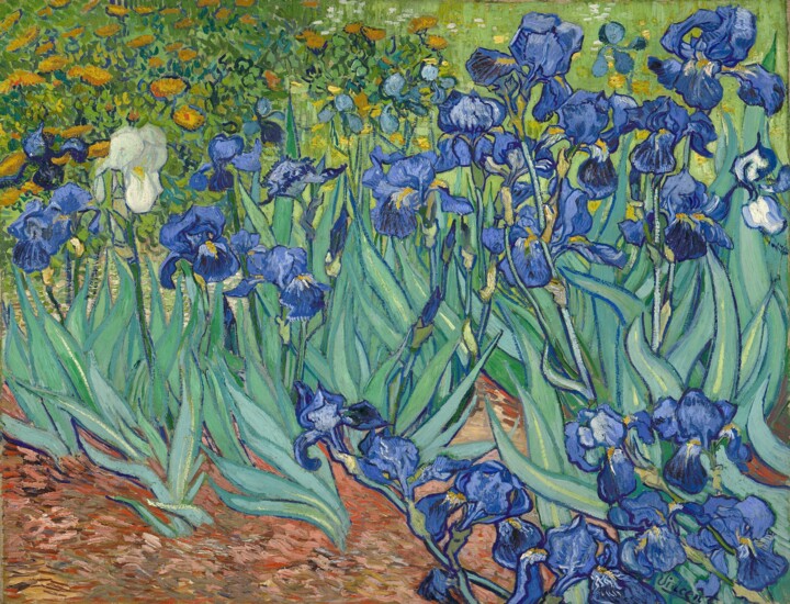 Ζωγραφική με τίτλο "Iris" από Vincent Van Gogh, Αυθεντικά έργα τέχνης, Λάδι