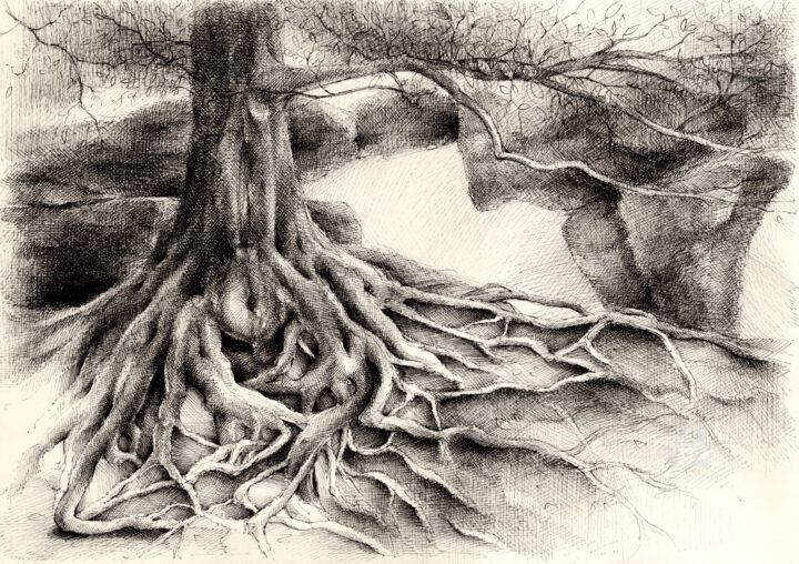 제목이 "Root and sandstone"인 그림 Adriana Mueller로, 원작, 잉크