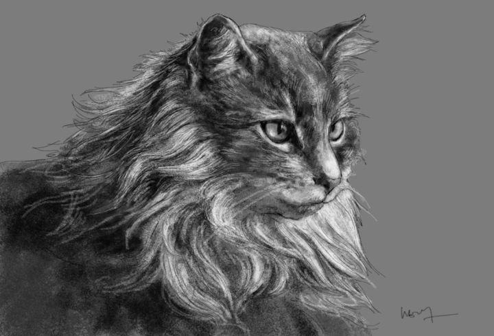 Portrait D Un Chat Maine Coon Digital Arts By Sandrine Wely Artmajeur