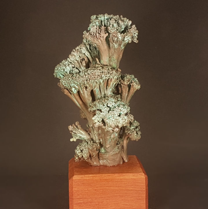 Skulptur mit dem Titel "Broccoli nearly blo…" von Wichert Van Engelen / Frozensteel.Nl, Original-Kunstwerk, Bronze