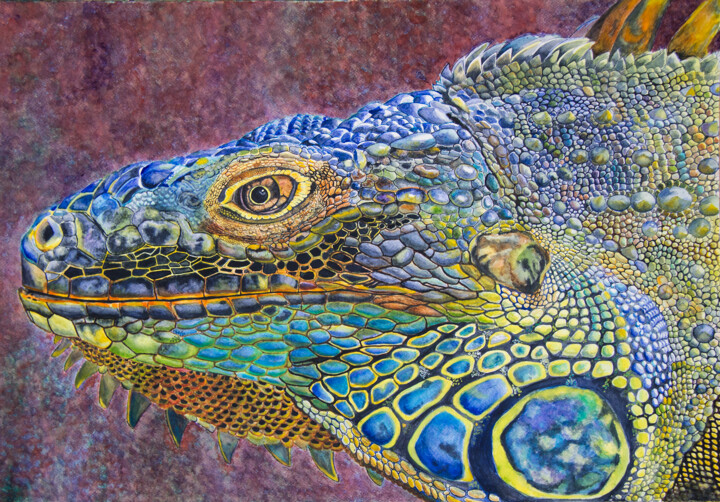 Painting titled "Iguana V" by Wilfredo Rolando Shimura Sakazaki, Original Artwork, Watercolor