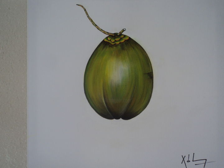 Painting titled "noix-de-coco.jpg" by Xavier De Lacaze, Original Artwork