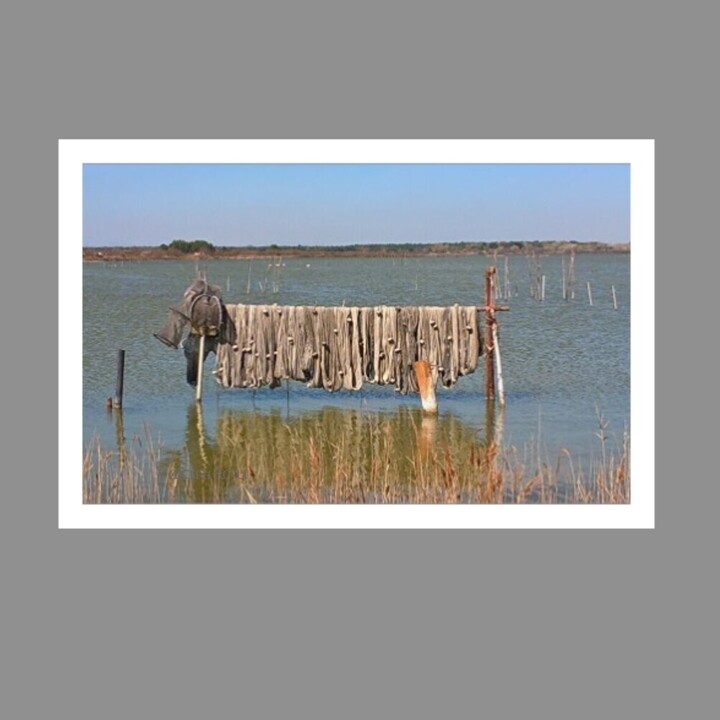 Fotografía titulada "CAMARGUE 3" por Yakinikou, Obra de arte original, Fotografía digital