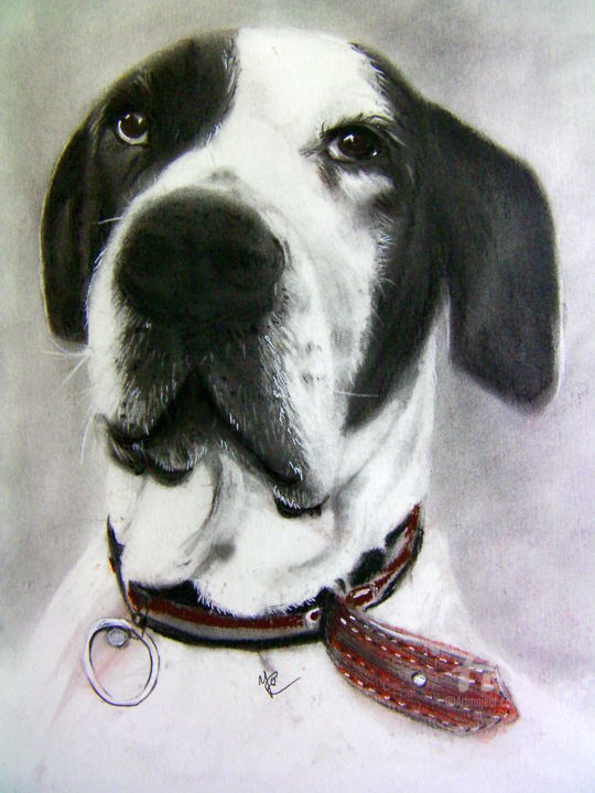 Drawing titled "Dogue Allemand" by Yo Portraits, Original Artwork, Pencil