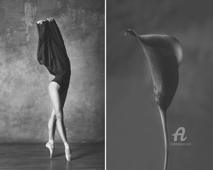 Fotografía titulada "Calla / Калла" por Iuliia Artemeva, Obra de arte original, Fotografía digital