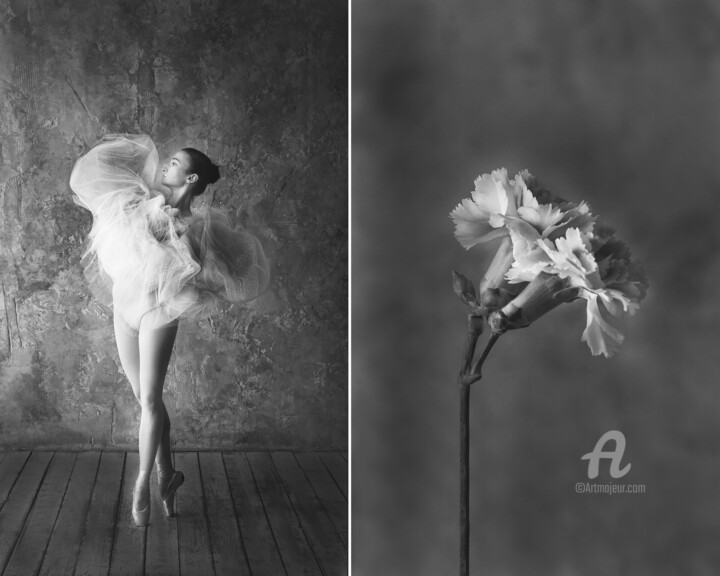 Fotografía titulada "Carnation" por Iuliia Artemeva, Obra de arte original, Fotografía digital
