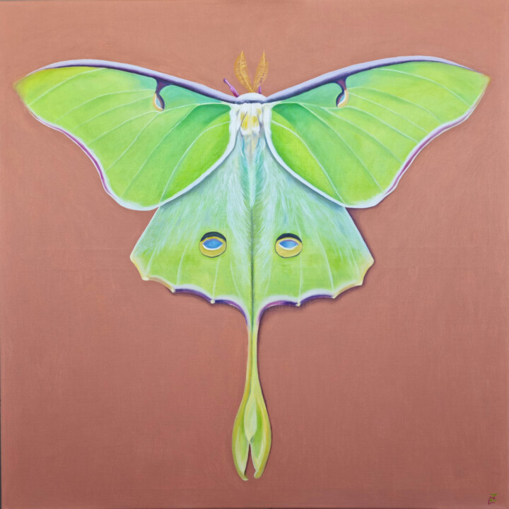 Pittura intitolato "Luna Moth (Series M…" da Zulfiya Mukhamadeyeva, Opera d'arte originale, Olio Montato su Telaio per barel…